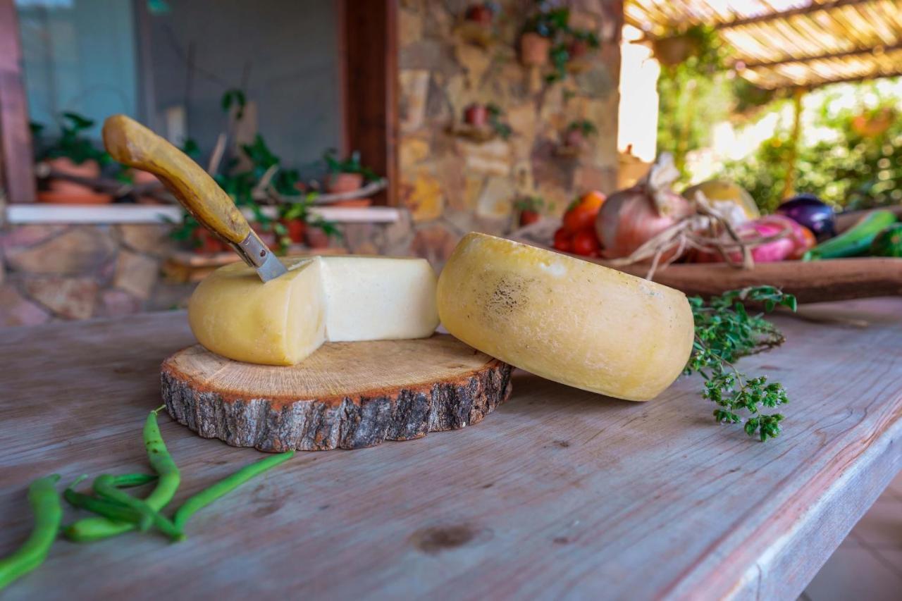 L'Oasi Del Cervo Villa Arbus Ngoại thất bức ảnh