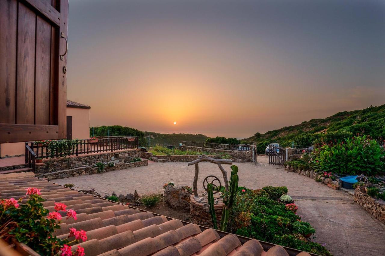 L'Oasi Del Cervo Villa Arbus Ngoại thất bức ảnh